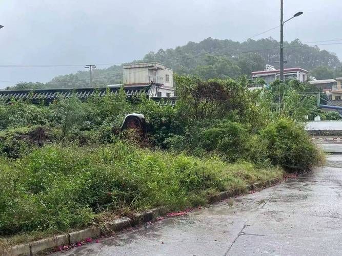 【五桂山街道最新通告:所有人员解封_五桂山小区】