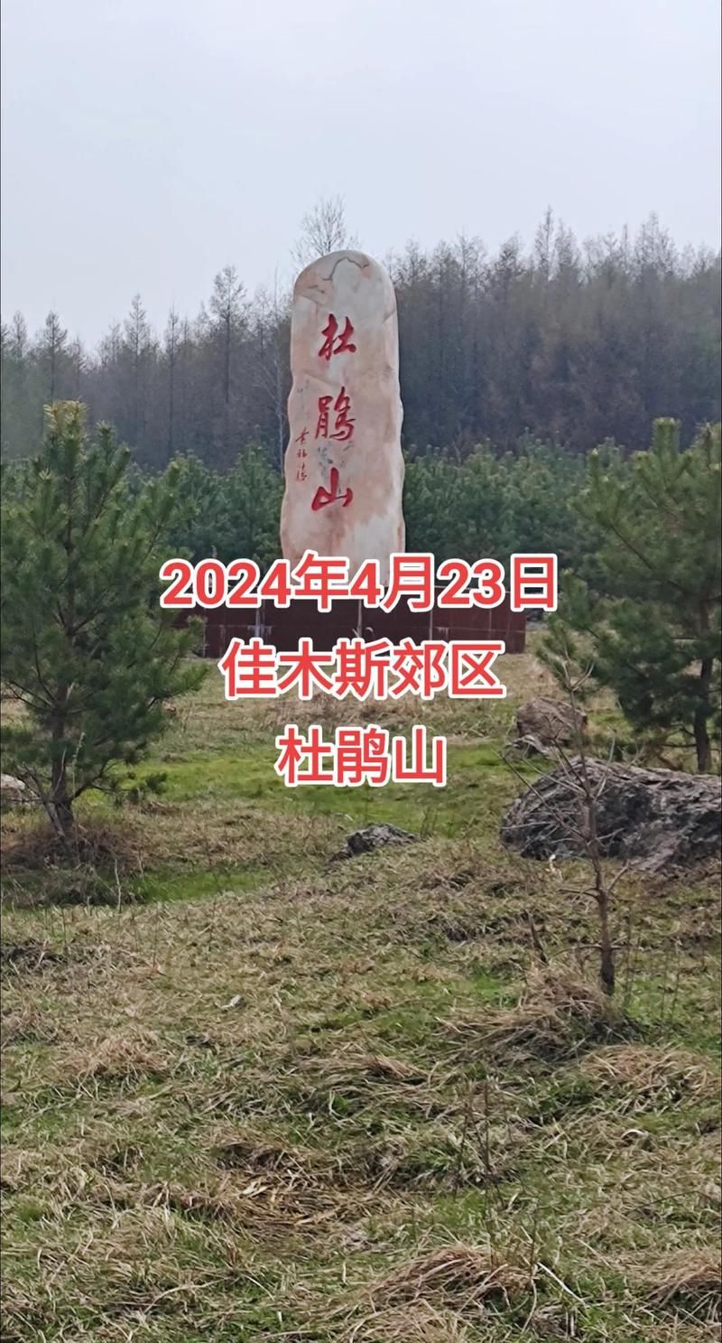  黑龙江佳木斯郊区首例境外输入来源公布:佳木斯发现疫情