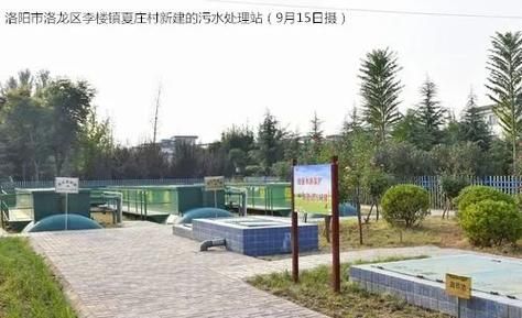 河南洛阳洛龙区近期新增感染趋势回落:洛阳新增确诊