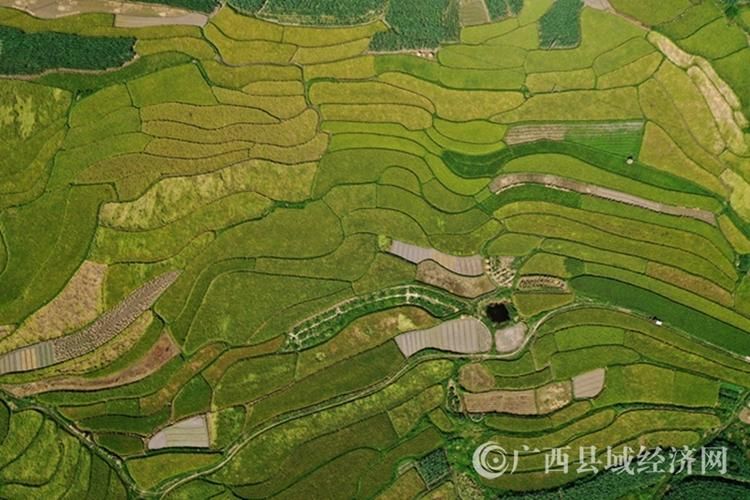  专家:融安县每年或现多个感染高峰:融安县百科