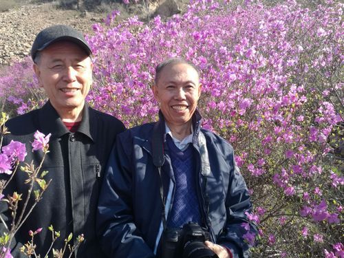 集安新增10例阳性感染者,涉及屯昌县:集安有疑似病例吗