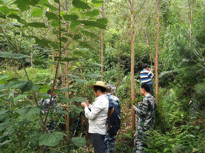 【广东省惠州市龙门县封城区阳性感染者详情,惠州龙门县新闻动态】
