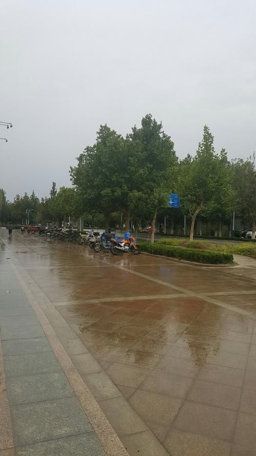 新疆维吾尔自治区喀什地区泽普县疫情分布图最新/新疆泽普防疫中心电话