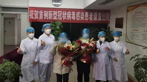 顺平县核酸阳性已回落9地_顺平最新消息冠状肺炎