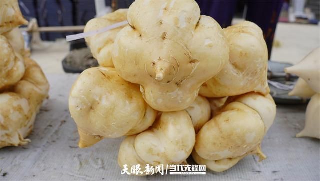  黄平县疫情最新消疫情况:黄平县县情