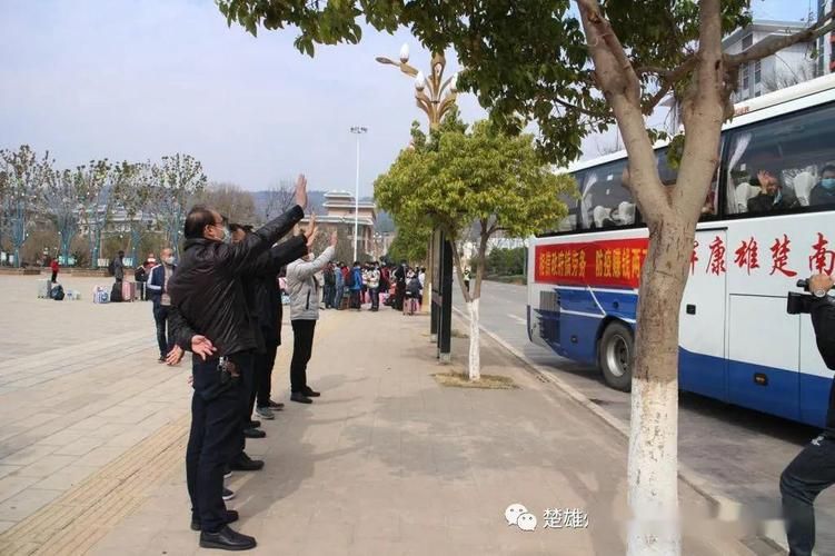 疫情视频最新大姚县:疫情视频最新大姚县新闻