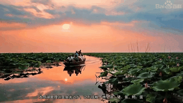 【龙感湖管理区最新疫情_龙感湖归哪里管】