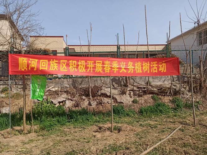 疫情公告顺河回族区最新/顺河回族区网站
