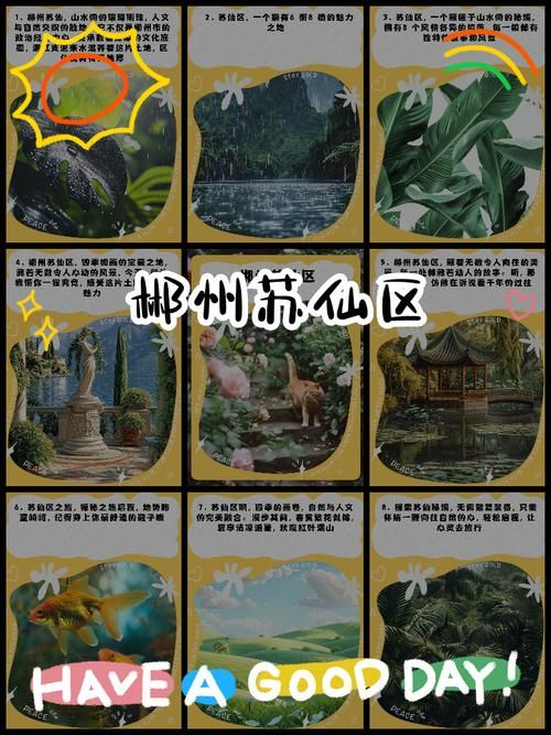 【湖南省郴州市苏仙区疫情地区分布,郴州苏仙岭疫情关闭】