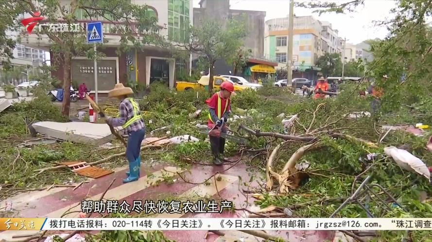 广东阳江江城区疫情视频最新(广东阳江新增1例)