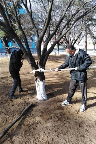 【山东淄博临淄区疫情最新消疫情况_淄博临淄疫情最新消息】