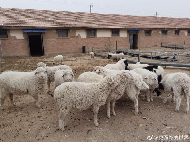 内蒙古自治区包头市达尔罕茂明安联合旗地区疫情管控严不(包头市达尔罕茂明安联合旗人民法院)