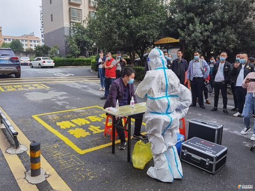 疫情最新报告景宁畲族自治县新闻/景宁畲族自治县新冠肺炎疫情防控指挥部