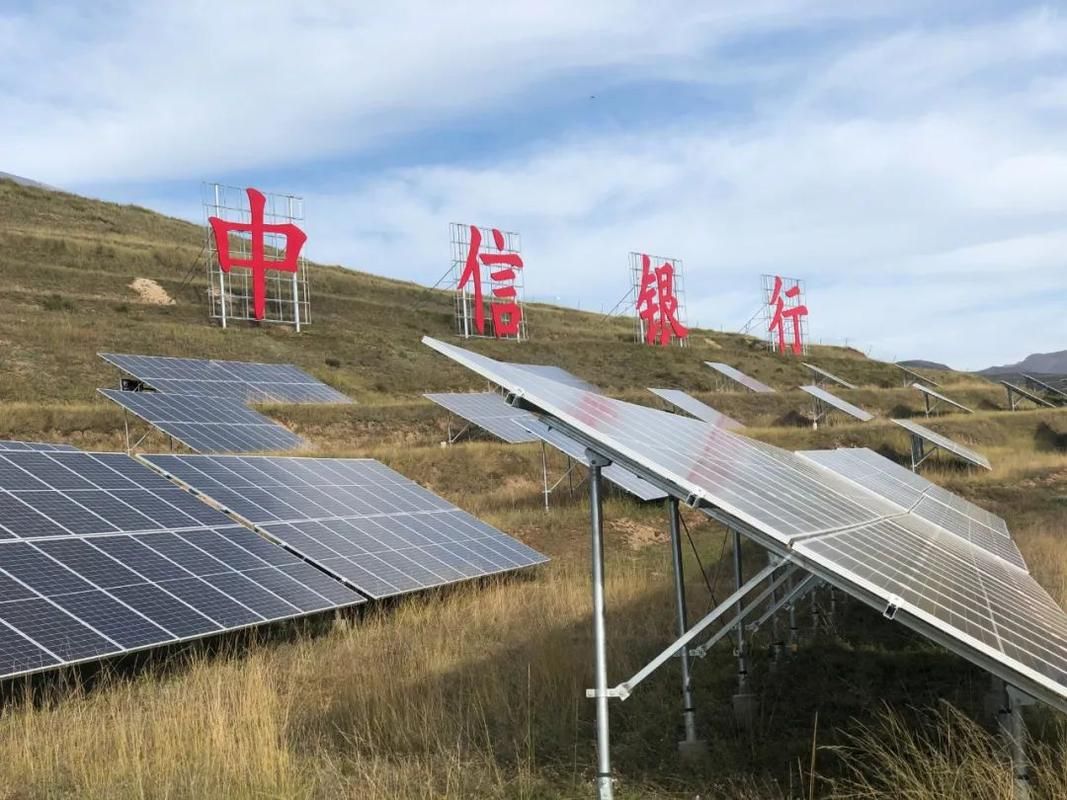 甘肃陇南宕昌县疫情最新表解/陇南宕昌县公布4例核酸阳性游客活动轨迹