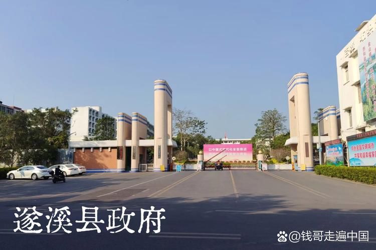 一张图看懂今日广东省湛江市遂溪县疫情(湛江遂溪今日头条新闻)