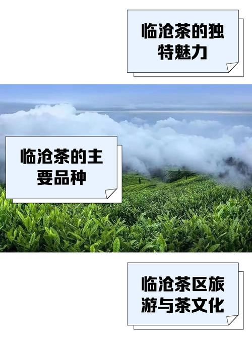 为何新增疫情双江拉祜族佤族布朗族傣族自治县_双江拉祜族茶文化