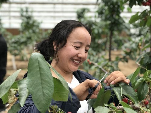 【尼木县疫情分布图最新_尼木县疫情分布图最新情况】