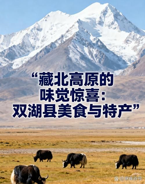 【西藏自治区那曲市双湖县地区有没有发现疫情,那曲双湖县现在叫什么县】