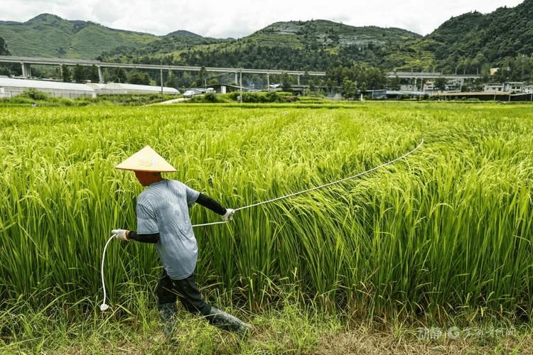 贵州省铜仁市印江土家族苗族自治县最新疫情进展信息/铜仁印江县城图片