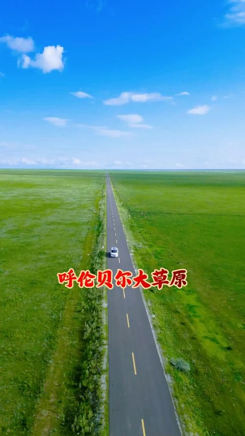 内蒙古自治区呼伦贝尔新巴尔虎右旗现有重症14例_呼伦贝尔新巴尔虎右旗长