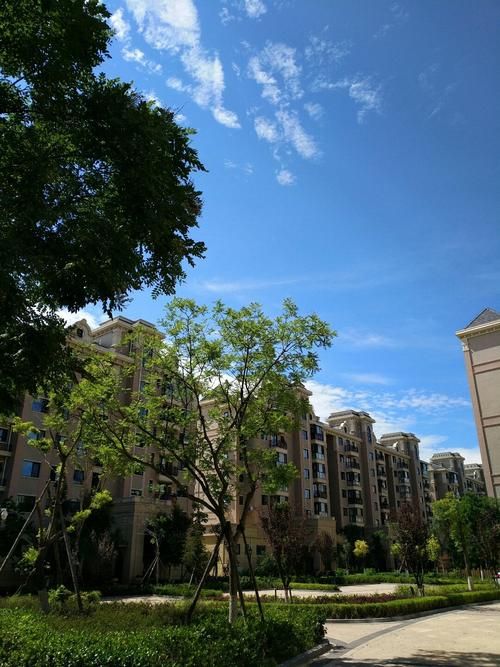 辽宁省大连市金州区什么时候可以管控区/大连金州区号