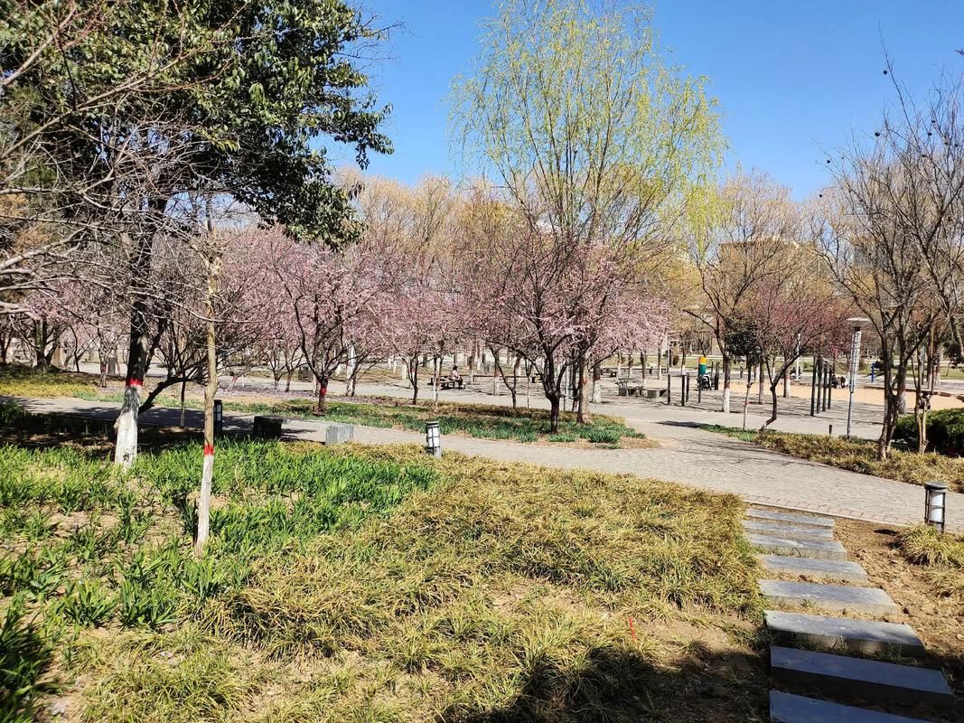 发现1名密接者!河北省邢台市沙河市/邢台沙河最新新闻