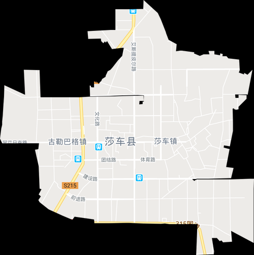 莎车县2月25日新增阳性感染者16例_莎车县最新地图