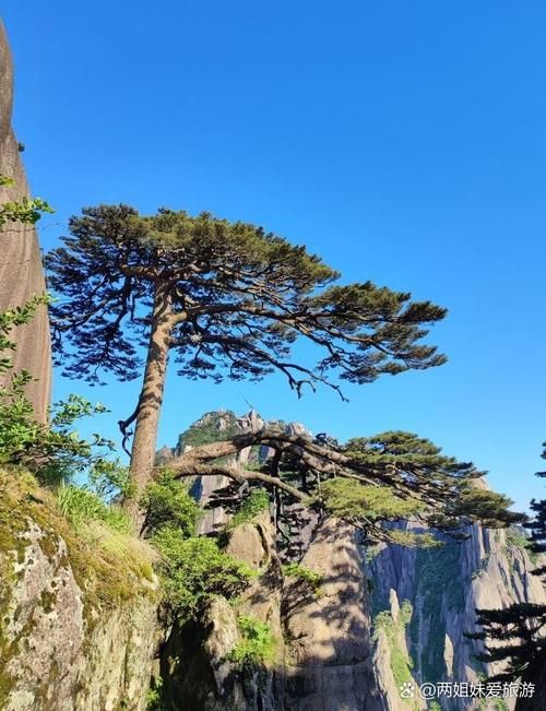 安徽黄山黄山区昨日最新消息疫情(黄山市最新消息)