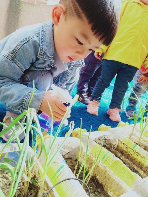 河北邢台广宗县疫情最新表解_天津格林国际幼儿园学费